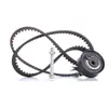 Image de INA Kit de distribution 530 0166 10 22mm Compatible avec VW Golf 3 3/5 portes 1H1 Lupo/Lupo 3L 6X1, 6E1 Polo III 3/5 portes 6N2 Polo III 3/5 portes 6N1, SEAT Ibiza II 6K1