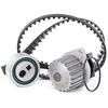 Image de INA 530 0012 30 Kit de distribution + pompe à eau Nombre de dents: 20 22 mm avec joint d'étanchéite Compatible avec PEUGEOT 206 3/5 portes 2A/C 205 II 3/5 portes 306 3/5 portes 7A, 7C, N3, N5, CITROËN