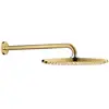 Image de Grohe Rainshower Cosmopolitan Douche de tête, 1 jet, 26066GL0,