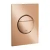 Image de Grohe Nova Cosmopolitan S Plaque de déclenchement, 37601DA0,