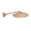 Image de Grohe Rainshower Douche de tête, 1 jet, 26558DL0,