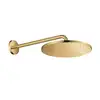 Image de Grohe Rainshower Douche de tête, 1 jet, 26558GL0,