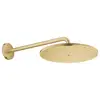 Image de Grohe Rainshower Douche de tête, 1 jet, 26558GN0,