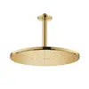 Image de Grohe Rainshower Douche de tête, 1 jet, 26560GL0,