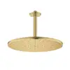 Image de Grohe Rainshower Douche de tête, 1 jet, 26560GN0,