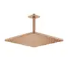 Image de Grohe Rainshower Cube Douche de tête, 1 jet, 26566DL0,