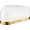 Image de Grohe Selection Tablette de douche, 41038GL0,