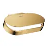 Image de Grohe Selection Porte-rouleau de papier toilette, 41069GL0,