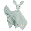 Image de roba Doudou Lapin Bio "Lil Planet" - Certifié OEKO TEX + GOTS - Coton Bio - Compagnon du Bébé - Vert Givré