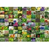 Image de Ravensburger Puzzle 12000073-99 Herbes et épices - Puzzle de 1000 pièces pour Adultes et Enfants de 14 Ans et Plus