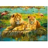 Image de Ravensburger - Puzzle Adulte - Puzzle 500 pièces - Lions dans la Savane - Adultes et Enfants à partir de 12 Ans - Puzzle de qualité supérieure - Animaux Sauvages - 12000220