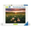 Image de Ravensburger - Puzzle Adulte 500 pièces - Pissenlits au crépuscule
