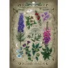 Image de Ravensburger Puzzle 12000781   Plantes vénéneuses   Puzzle de 1000 pièces pour Adultes à partir de 14 Ans