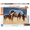 Image de Nathan - Puzzle 1500 pièces - Jument et Son Poulain - Adultes et Enfants dès 14 Ans - Puzzle de qualité supérieure - Encastrement Parfait - Collection Vie Sauvage - 12000928