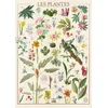 Image de Nathan - Puzzle 1500 pièces - Les Plantes - MNHN
