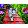 Image de Nathan - Puzzle 500 pièces - Chaton au Jardin - Adultes et Enfants dès 12 Ans - Puzzle de qualité supérieure - Encastrement Parfait - Collection Tendresse - 12000968