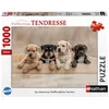 Image de Nathan - Puzzle 1000 pièces - Les American Staffordshire Terriers - Adultes et Enfants dès 12 Ans - Puzzle de qualité supérieure - Encastrement Parfait - Collection Tendresse - 12001145
