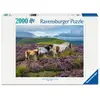 Image de Ravensburger Puzzle Chevaux Sauvages 2000p (12001751)