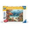 Image de Ravensburger Puzzle pour Enfants 13411 - Animaux Marins sur Les récifs coralliens - Pourquoi ? Pourquoi ? Affiche de Connaissances Why Puzzle 150 pièces XXL +, pour Les Enfants de 7 Ans et Plus