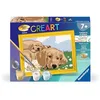 Image de Ravensburger - CreArt Kids 8x12 cm - Numéro d'art - Labradors - Kit de Peinture par numéros - Dès 9 Ans - 25996