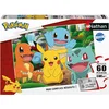 Image de Nathan - Puzzle 60 pièces - Les Pokémon au Parc