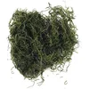 Image de Rayher Mousse naturelle séchée, vert, 1 sachet, 20g, arts créatifs, modélisme, floristique, automne, nid de pâque, crèche, Noël-8501029