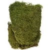 Image de Rayher Mousse naturelle séchée, vert, 1 sachet, 100g, en tapis, arts créatifs, modélisme, floristique, automne, nid de pâque, crèche, Noël-8508300