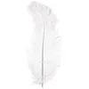 Image de Rayher 8510402 Plume d'autruche Blanc 30 cm