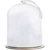 Image de Rayher Cloche avec socle, transparent, 1 pce., plastique, Ø 11cm, H 19cm, arts créatifs, protection de décorations miniatures, pâques, Noël -46123000