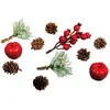 Image de Rayher 55918000 Mélange naturel av. pommes & baies ass., p. déco de noël, 11 pcs