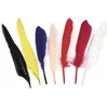 Image de Rayher 8525449 Lot de 12 Plumes Indiennes 17,5 cm Couleurs mélangées Plumes Naturelles Plumes Bijoux Plumes Artisanales Plumes d'oie