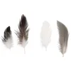 Image de Rayher 8515500 Pepita Mélange de plumes 7-9 cm 10 g.