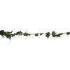 Image de Rayher Mini Guirlande de lierre artificiel p déco florale 3m vert clair, 5109211
