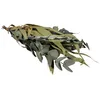 Image de Rayher Branches d'eucalyptus séchées av. manchette papier 30-35cm ass., 85493000