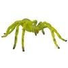 Image de Bullyland - 68455 - Pion - Araignée Micrommata Multicolore