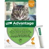Image de Advantage Chat & Lapin de moins de 4 kg   Pipettes anti puces chat pour prévention des infestations   Traitement anti puces lapin pour une protection en continu pendant 3 à 4 semaines   4 x 0,4 ml