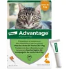 Image de Advantage Chat & Lapin de moins de 4 kg   Pipettes anti puces chat pour prévention des infestations   Traitement anti puces lapin pour une protection en continu pendant 3 à 4 semaines   6 x 0,4 ml