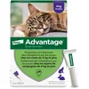 Image de Advantage Chat & Lapin de plus de 4 kg   Pipettes anti puces chat pour prévention des infestations   Traitement anti puces lapin pour une protection en continu pendant 3 à 4 semaines   4 x 0,8 ml