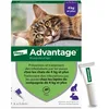 Image de Advantage Chat & Lapin de plus de 4 kg   Pipettes anti puces chat pour prévention des infestations   Traitement anti puces lapin pour une protection en continu pendant 3 à 4 semaines   6 x 0,8 ml