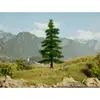 Image de NOCH 0021811 Arbre sapin Nordmann 145 mm 1 pc(s)