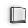 Image de STEINEL Applique LED extérieure L 40 C, anthracite | lampe murale intelligente, 3000 K, Bluetooth Mesh, réglage via Connect App