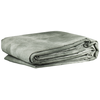 Image de Bresser Fond Tissu d'arrière-plan 3 x 6 m Light grey + sac de transport