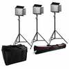 Image de Bresser Kit 3 panneaux LED SH-1200