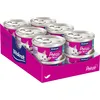 Image de Vitakraft Poésie Mousse, nourriture humide pour chats, mousse légère, avec du saumon, sans ajout de sucre ni de céréales (12x85g)