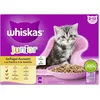 Image de WHISKAS Junior Lot de sachets de Nourriture Humide, sélection de volailles en gelée, 12 x 85 g