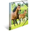 Image de HERMA Chemises à élastique Animaux Chevaux A4, Polypropylène, avec impression intérieure, chemise plastique avec rabat