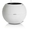 Image de LECHUZA PURO Color 50 blanc 13340