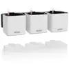 Image de Lechuza   Pot de Fleurs d'Interieur   Green Wall Home Kit Color   Réserve d'Eau Intégrée   Coloris Blanc   48 x 6 x 14 cm