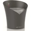 Image de Lechuza   Pot pour Orchidée   Orchidea   Réserve d'Eau Intégrée   Coloris Gris Ardoise   18 x 18 x 20 cm