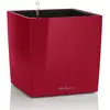 Image de Lechuza   Pot de Fleurs d'Interieur   Premium Cube   Réserve d'Eau Intégrée   Coloris Rouge Scarlet   30 x 30 x 30 cm